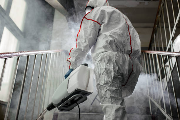 Best Biohazard Mold Removal  in Adamstown, PA